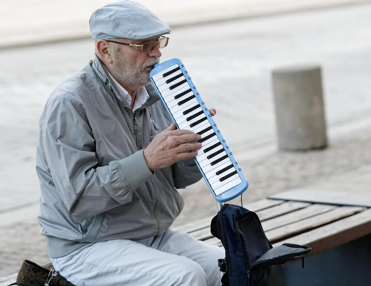 old man, street artist, song, a musical instrument, wind instrument, musician, busker